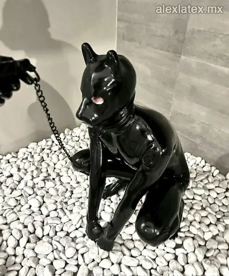 Alexlatexmx