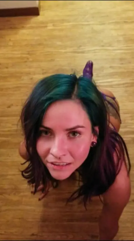 Lexinwonderland