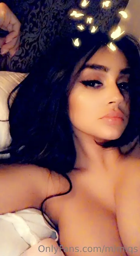 Mimiqs