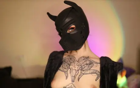 Ravenalternative